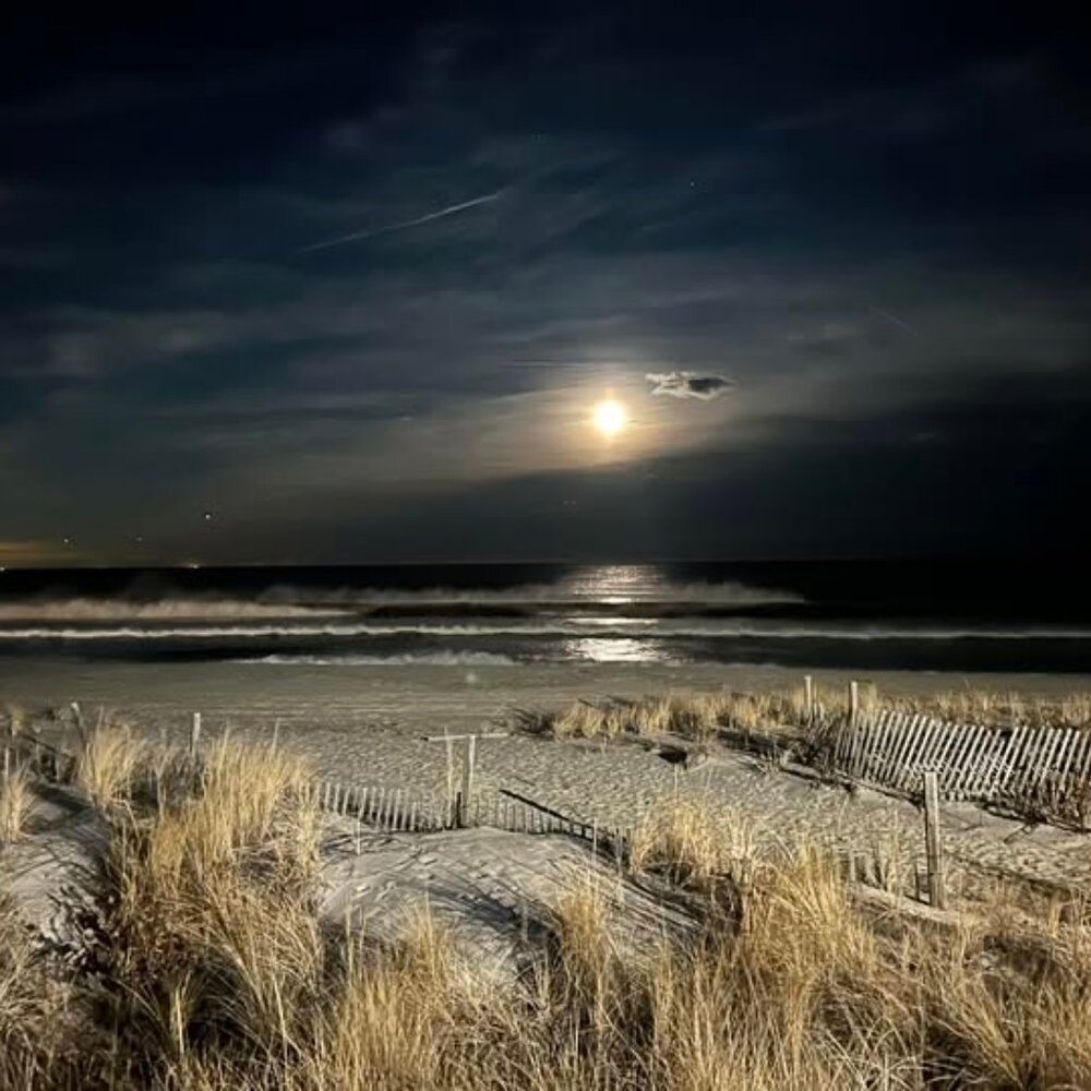 8x 10 photo monn at the beach